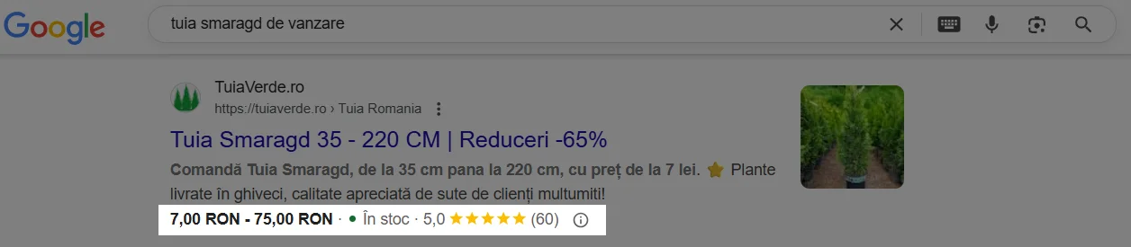 exemplu-rich-results