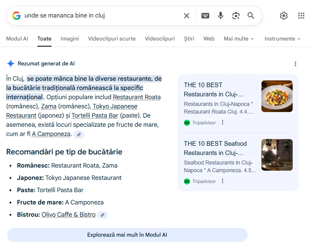 rezultat-ai-overview